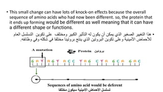 • This small change can have lots of knock-on effects because the overall
sequence of amino acids who had now been different. so, the protein that
it ends up forming would be different as well meaning that it can have
a different shape or functions.
•
‫الصغير‬ ‫التغيير‬ ‫هذا‬
‫الذي‬
‫له‬ ‫يكون‬ ‫أن‬ ‫يمكن‬
‫التأثير‬
‫ومختلف‬ ‫الكبير‬
‫على‬
‫تكوين‬
‫ا‬
‫العام‬ ‫لتسلسل‬
‫و‬ ‫األمينية‬ ‫لألحماض‬
‫تكوين‬ ‫على‬
‫البروتين‬
‫وف‬ ‫شكله‬ ‫في‬ ‫مختلفا‬ ‫بروتينا‬ ‫ينتج‬ ‫الذي‬
‫وظائفه‬ ‫ي‬
.
Sequences of amino acid would be deferent
‫مختلفا‬ ‫سيكون‬ ‫األمينية‬ ‫األحماض‬ ‫تسلسل‬
 