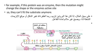 • for example, if this protein was an enzyme, then the mutation might
change the shape or the enzymes active site
• so, they can't fit the substrate anymore.
•
‫إنزيم‬ ‫البروتين‬ ‫هذا‬ ‫كان‬ ‫إذا‬ ،‫المثال‬ ‫سبيل‬ ‫على‬
،
‫ربما‬
‫اإلن‬ ‫موقع‬ ‫أو‬ ‫الشكل‬ ‫تغير‬ ‫قد‬ ‫الطفرة‬
‫زيمات‬
‫النشطة‬
‫لذا‬
،
‫التفاعل‬ ‫لمادة‬ ‫مالئم‬ ‫غير‬ ‫ويصبح‬
.
•
 
