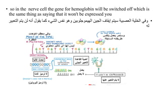 • so in the nerve cell the gene for hemoglobin will be switched off which is
the same thing as saying that it won't be expressed you
•
‫وفي‬
‫الجين‬ ‫إيقاف‬ ‫سيتم‬ ‫العصبية‬ ‫الخلية‬
‫ا‬
‫أن‬ ‫يقول‬ ‫كما‬ ‫الشيء‬ ‫نفس‬ ‫وهو‬ ‫لهيموجلوبين‬
‫التعبير‬ ‫يتم‬ ‫لن‬ ‫ه‬
‫له‬
 