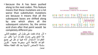 • because the A has been pushed
along to the next codon. This feature
means that these mutations are a lot
worse than substitution mutations
are because it means that all the
subsequent bases are shifted along
by one which alters all the
subsequent columns. So, the amino
acid chain after that point would be
completely different you
•
‫ألن‬
A
‫قد‬
‫دفعت‬
‫على‬
‫طول‬
‫إلى‬
codon
‫التالي‬
.
‫هذا‬
‫الدفع‬
‫يعني‬
‫حدوث‬
‫طفرات‬
‫أسوأ‬
‫بكثير‬
‫م‬
‫ن‬
‫الطفرات‬
‫االستبدال‬
‫ألنه‬
‫فيها‬
‫تم‬
‫نقل‬
‫في‬
‫ج‬
‫ميع‬
‫القواعد‬
‫الالحقة‬
‫الذي‬
‫سيغيرها‬
‫جميعا‬
‫تكوي‬
‫ن‬
‫سلسلة‬
‫األحماض‬
‫األمينية‬
‫بعد‬
‫تلك‬
‫النقطة‬
‫م‬
‫ختلفة‬
‫تماما‬
.
 