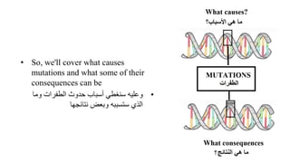 • So, we'll cover what causes
mutations and what some of their
consequences can be
•
‫وما‬ ‫الطفرات‬ ‫حدوث‬ ‫أسباب‬ ‫سنغطي‬ ‫وعليه‬
‫نتائجها‬ ‫وبعض‬ ‫ستسببه‬ ‫الذي‬
 