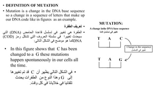 • In this figure shows that C has been
changed to a G these mutations
happen spontaneously in our cells all
the time.
•
‫أن‬ ‫يظهر‬ ‫التالي‬ ‫الشكل‬ ‫في‬
C
‫ق‬
‫تغييرها‬ ‫تم‬ ‫د‬
‫إلى‬
G
‫و‬
‫يحدث‬ ‫الطفرات‬ ‫من‬ ‫النوع‬ ‫هذا‬
‫وقت‬ ‫كل‬ ‫في‬ ‫خاليانا‬ ‫في‬ ‫تلقائيا‬
.
• DEFINITION OF MUTATION
• Mutation is a change in the DNA base sequence
so a change in a sequence of letters that make up
our DNA code like in figures as an example.
•
‫تعريف‬
‫الطفرة‬
•
‫الطفرة‬
‫هي‬
‫تغيير‬
‫في‬
‫تسلسل‬
‫قاعدة‬
‫الحامض‬
(DNA)
‫التي‬
‫سيحدث‬
‫تغييرا‬
‫في‬
‫سلسلة‬
‫الحروف‬
‫التي‬
‫تشكل‬
‫رمز‬
(COD)
DNA
‫كما‬
‫هو‬
‫موضح‬
‫في‬
‫الشكل‬
‫التالي‬
:
 
