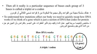 • Then all it really is a particular sequence of bases each group of 3
bases is called a triplet or a codon
•
‫من‬ ‫المكونة‬ ‫مجموعة‬ ‫وكل‬ ‫القواعد‬ ‫من‬ ‫معينة‬ ‫سلسلة‬ ‫هناك‬
3
‫كودون‬ ‫أو‬ ‫الثالثي‬ ‫تسمى‬ ‫قواعد‬
(
‫جين‬
)
• To understand how mutations affect our body we need to quickly recap how DNA
works if we think of a gene which is just a section of DNA that codes for protein
•
‫سنلخص‬
‫تلخيصا‬
‫سريعا‬
‫لفهم‬
‫عمل‬
‫الدنا‬
‫وكيف‬
‫يتم‬
‫تأثير‬
‫الطفرات‬
‫على‬
‫الجسم‬
‫بافتراض‬
‫بأن‬
‫الجين‬
‫هو‬
‫جزء‬
‫من‬
‫الدنا‬
‫الذي‬
‫يقوم‬
‫بتصنيع‬
‫البروتين‬
.
A triple / codon
 