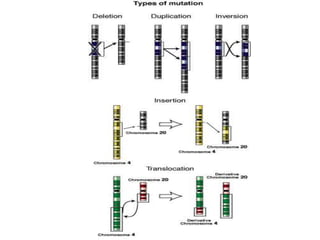 Mutational Analysis Mutational analysis | PPTX