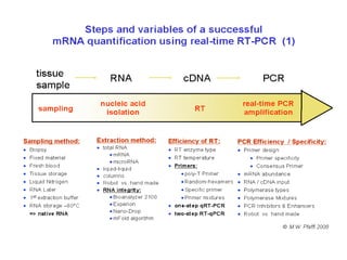 Mutational Analysis Mutational analysis | PPTX