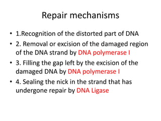 Repair mechanisms
• 1.Recognition of the distorted part of DNA
• 2. Removal or excision of the damaged region
of the DNA strand by DNA polymerase I
• 3. Filling the gap left by the excision of the
damaged DNA by DNA polymerase I
• 4. Sealing the nick in the strand that has
undergone repair by DNA Ligase
 