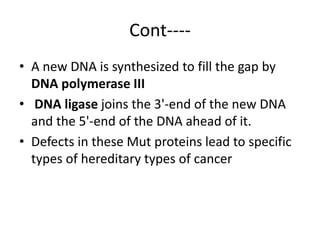 Cont----
• A new DNA is synthesized to fill the gap by
DNA polymerase III
• DNA ligase joins the 3'-end of the new DNA
and the 5'-end of the DNA ahead of it.
• Defects in these Mut proteins lead to specific
types of hereditary types of cancer
 