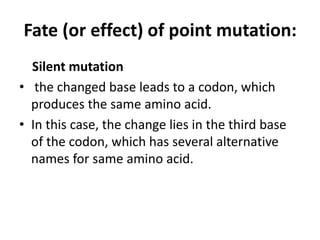 Fate (or effect) of point mutation:
Silent mutation
• the changed base leads to a codon, which
produces the same amino acid.
• In this case, the change lies in the third base
of the codon, which has several alternative
names for same amino acid.
 