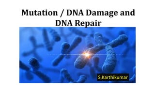 Mutation
Mutation / DNA Damage and
DNA Repair
S.Karthikumar
 