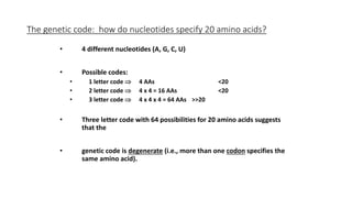 The genetic code: how do nucleotides specify 20 amino acids?
• 4 different nucleotides (A, G, C, U)
• Possible codes:
• 1 letter code  4 AAs <20
• 2 letter code  4 x 4 = 16 AAs <20
• 3 letter code  4 x 4 x 4 = 64 AAs >>20
• Three letter code with 64 possibilities for 20 amino acids suggests
that the
• genetic code is degenerate (i.e., more than one codon specifies the
same amino acid).
 
