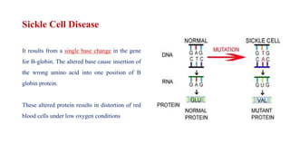 Sickle Cell Disease
It results from a single base change in the gene
for B-globin. The altered base cause insertion of
the wrong amino acid into one position of B
globin protein.
These altered protein results in distortion of red
blood cells under low oxygen conditions
 