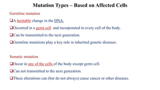 Germline mutation
❑A heritable change in the DNA.
❑Occurred in a germ cell and incorporated in every cell of the body.
❑Can be transmitted to the next generation.
❑Germline mutations play a key role in inherited genetic diseases.
Somatic mutation
❑Occur in any of the cells of the body except germ cell.
❑Can not transmitted to the next generation.
❑These alterations can (but do not always) cause cancer or other diseases.
Mutation Types – Based on Affected Cells
 