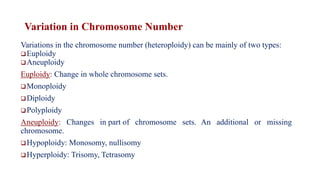 Variation in Chromosome Number
Variations in the chromosome number (heteroploidy) can be mainly of two types:
❑Euploidy
❑Aneuploidy
Euploidy: Change in whole chromosome sets.
❑Monoploidy
❑Diploidy
❑Polyploidy
Aneuploidy: Changes in part of chromosome sets. An additional or missing
chromosome.
❑Hypoploidy: Monosomy, nullisomy
❑Hyperploidy: Trisomy, Tetrasomy
 