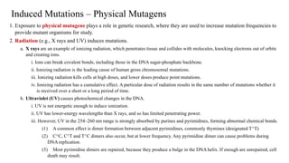 Induced Mutations – Physical Mutagens
1. Exposure to physical mutagens plays a role in genetic research, where they are used to increase mutation frequencies to
provide mutant organisms for study.
2. Radiation (e.g., X rays and UV) induces mutations.
a. X rays are an example of ionizing radiation, which penetrates tissue and collides with molecules, knocking electrons out of orbits
and creating ions.
i. Ions can break covalent bonds, including those in the DNA sugar-phosphate backbone.
ii. Ionizing radiation is the leading cause of human gross chromosomal mutations.
iii. Ionizing radiation kills cells at high doses, and lower doses produce point mutations.
iv. Ionizing radiation has a cumulative effect. A particular dose of radiation results in the same number of mutations whether it
is received over a short or a long period of time.
b. Ultraviolet (UV) causes photochemical changes in the DNA.
i. UV is not energetic enough to induce ionization.
ii. UV has lower-energy wavelengths than X rays, and so has limited penetrating power.
iii. However, UV in the 254–260 nm range is strongly absorbed by purines and pyrimidines, forming abnormal chemical bonds.
(1) A common effect is dimer formation between adjacent pyrimidines, commonly thymines (designated T^T)
(2) C^C, C^T and T^C dimers also occur, but at lower frequency. Any pyrimidine dimer can cause problems during
DNA replication.
(3) Most pyrimidine dimers are repaired, because they produce a bulge in the DNA helix. If enough are unrepaired, cell
death may result.
 