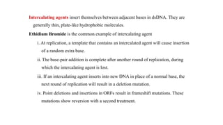 Intercalating agents insert themselves between adjacent bases in dsDNA. They are
generally thin, plate-like hydrophobic molecules.
Ethidium Bromide is the common example of intercalating agent
i. At replication, a template that contains an intercalated agent will cause insertion
of a random extra base.
ii. The base-pair addition is complete after another round of replication, during
which the intercalating agent is lost.
iii. If an intercalating agent inserts into new DNA in place of a normal base, the
next round of replication will result in a deletion mutation.
iv. Point deletions and insertions in ORFs result in frameshift mutations. These
mutations show reversion with a second treatment.
 