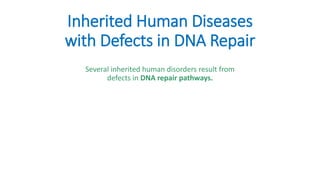 Inherited Human Diseases
with Defects in DNA Repair
Several inherited human disorders result from
defects in DNA repair pathways.
 