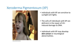 Xeroderma Pigmentosum (XP)
• Individuals with XP are sensitive to
sunlight (UV light).
• The cells of individuals with XP are
deficient in the repair of UV-
induced damage to DNA.
• Individuals with XP may develop
skin cancer or neurological
abnormalities.
 