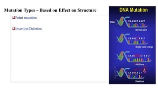 Mutation Types – Based on Effect on Structure
❑Point mutation
❑Insertion/Deletion
 
