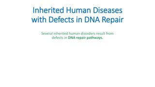 Mutation and DNA repair.pdf