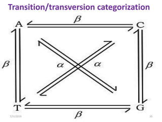 Mutation and DNA repair mechanism | PPTX