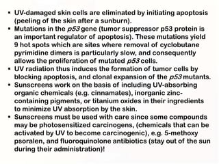  UV-damaged skin cells are eliminated by initiating apoptosis
  (peeling of the skin after a sunburn).
 Mutations in the p53 gene (tumor suppressor p53 protein is
  an important regulator of apoptosis). These mutations yield
  9 hot spots which are sites where removal of cyclobutane
  pyrimidine dimers is particularly slow, and consequently
  allows the proliferation of mutated p53 cells.
 UV radiation thus induces the formation of tumor cells by
  blocking apoptosis, and clonal expansion of the p53 mutants.
 Sunscreens work on the basis of including UV-absorbing
  organic chemicals (e.g. cinnamates), inorganic zinc-
  containing pigments, or titanium oxides in their ingredients
  to minimize UV absorption by the skin.
 Sunscreens must be used with care since some compounds
  may be photosensitized carcinogens, (chemicals that can be
  activated by UV to become carcinogenic), e.g. 5-methoxy
  psoralen, and fluoroquinolone antibiotics (stay out of the sun
  during their administration)!
 