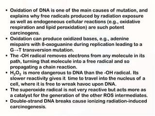  Oxidation of DNA is one of the main causes of mutation, and
  explains why free radicals produced by radiation exposure
  as well as endogeneous cellular reactions (e.g., oxidative
  respiration and lipid peroxidation) are such potent
  carcinogens.
 Oxidation can produce oxidized bases, e.g., adenine
  mispairs with 8-oxoguanine during replication leading to a
  G→T transversion mutation.
 The -OH radical removes electrons from any molecule in its
  path, turning that molecule into a free radical and so
  propagating a chain reaction.
 H2O2 is more dangerous to DNA than the -OH radical. Its
  slower reactivity gives it time to travel into the nucleus of a
  cell, where it is free to wreak havoc upon DNA.
 The superoxide radical is not very reactive but acts more as
  a catalyst for the generation of the other ROS intermediates.
 Double-strand DNA breaks cause ionizing radiation-induced
  carcinogenesis.
 