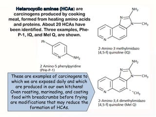 ) are
  carcinogens produced by cooking
meat, formed from heating amino acids
 and proteins. About 20 HCAs have
been identified. Three examples, Phe-
    P-1, IQ, and Mel Q, are shown.




These are examples of carcinogens to
which we are exposed daily and which
  are produced in our own kitchens!
Oven roasting, marinading, and coating
food with breadcrumbs before frying
are modifications that may reduce the
         formation of HCAs.
 
