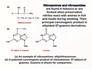 are found in tobacco or are
                                  formed when preservative
                              nitrites react with amines in fish
                              and meats during smoking. Their
                              principal carcinogenic product is
                              alkylated O6 guanine derivatives.




        (a) An example of nitrosamines: alkylnitrosoureas.
(b) A potential carcinogenic product of nitrosamines: O6 adduct of
            guanine. Guanine is shown for comparison.
 