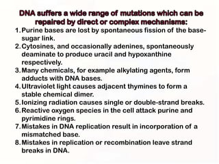 1.Purine bases are lost by spontaneous fission of the base-
  sugar link.
2.Cytosines, and occasionally adenines, spontaneously
  deaminate to produce uracil and hypoxanthine
  respectively.
3.Many chemicals, for example alkylating agents, form
  adducts with DNA bases.
4.Ultraviolet light causes adjacent thymines to form a
  stable chemical dimer.
5.Ionizing radiation causes single or double-strand breaks.
6.Reactive oxygen species in the cell attack purine and
  pyrimidine rings.
7.Mistakes in DNA replication result in incorporation of a
  mismatched base.
8.Mistakes in replication or recombination leave strand
  breaks in DNA.
 