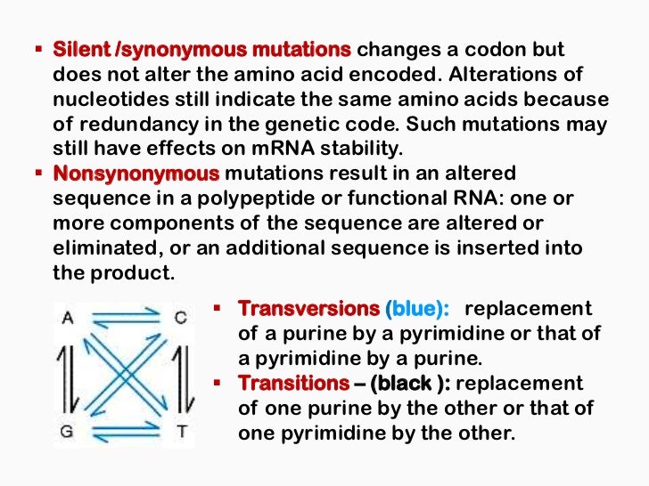 Mutation and dna repair mechanisms
