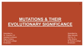 MUTATIONS & THEIR
EVOLUTIONARY SIGNIFICANCE
Submitted to,
Dr. Chandini V.K
Assistant professor
Dept of botany
St Teresa’s college
Ernakulam
Submitted by,
Silpa Selvaraj
Roll no: 14
I Msc Botany
St Teresa’s college
Ernakulam
1
 