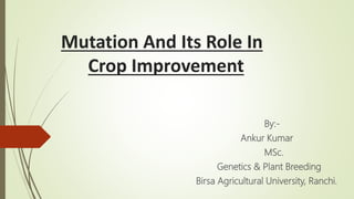 Mutation And Its Role In
Crop Improvement
By:-
Ankur Kumar
MSc.
Genetics & Plant Breeding
Birsa Agricultural University, Ranchi.
 