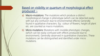 Based on visibility or quantum of morphological effect
produced :-
a) Macro-mutations: The mutations which produce a distinct
morphological change in phenotype (which can be detected easily
with out any confusion due to environmental effects) Generally
found in qualitative characters. Eg : colour of flowers, height of plant
etc. are counted as macro mutations.
b) Micro-mutations: Mutations with invisible phenotypic changes,
(which can be easily confused with effects produced due to
environment). Generally observed in quantitative characters. These
mutations can be distinguished and identified under micro
mutations.
 