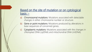 Based on the site of mutation or on cytological
basis :-
a) Chromosomal mutations: Mutations associated with detectable
changes in either chromosome number or structure.
b) Gene or point mutations: Mutations produced by alterations in
base sequences of concerned genes.
c) Cytoplasmic mutations: Mutations associated with the changes in
chloroplast DNA (cpDNA) and mitochondrial DNA (mtDNA).
 