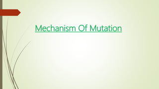 Mechanism Of Mutation
 