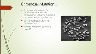 Chromosal Mutation:-
 An abnormal change in the
structure of all or part of a
chromosome, OR in the number of
chromosomes an organism has
 Ex: normal humans have 46
chromosomes
 Humans with Down Syndrome
have 47
 
