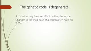 The genetic code is degenerate
A mutation may have no effect on the phenotype
Changes in the third base of a codon often have no
effect.
 