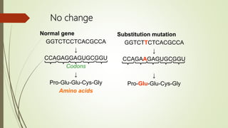 No change
Normal gene
GGTCTCCTCACGCCA
↓
CCAGAGGAGUGCGGU
Codons
↓
Pro-Glu-Glu-Cys-Gly
Amino acids
Substitution mutation
GGTCTTCTCACGCCA
↓
CCAGAAGAGUGCGGU
↓
Pro-Glu-Glu-Cys-Gly
 