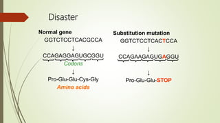 Disaster
Normal gene
GGTCTCCTCACGCCA
↓
CCAGAGGAGUGCGGU
Codons
↓
Pro-Glu-Glu-Cys-Gly
Amino acids
Substitution mutation
GGTCTCCTCACTCCA
↓
CCAGAAGAGUGAGGU
↓
Pro-Glu-Glu-STOP
 