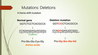 Mutations: Deletions
Normal gene
GGTCTCCTCACGCCA
↓
CCAGAGGAGUGCGGU
Codons
↓
Pro-Glu-Glu-Cys-Gly
Amino acids
Deletion mutation
GGTC/CCTCACGCCA
↓
CCAGGGAGUGCGGU
↓
Pro-Gly-Ser-Ala-Val
A frame shift mutation
 