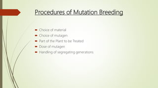 Procedures of Mutation Breeding
 Choice of material
 Choice of mutagen
 Part of the Plant to be Treated
 Dose of mutagen
 Handling of segregating generations
 