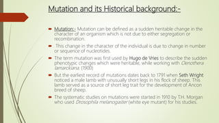 Mutation and its Historical background:-
 Mutation:- Mutation can be defined as a sudden heritable change in the
character of an organism which is not due to either segregation or
recombination.
 This change in the character of the individual is due to change in number
or sequence of nucleotides.
 The term mutation was first used by Hugo de Vries to describe the sudden
phenotypic changes which were heritable, while working with Oenothera
lamarckiana. (1900)
 But the earliest record of mutations dates back to 1791 when Seth Wright
noticed a male lamb with unusually short legs in his flock of sheep. This
lamb served as a source of short leg trait for the development of Ancon
breed of sheep.
 The systematic studies on mutations were started in 1910 by T.H. Morgan
who used Drosophila melanogaster (white eye mutant) for his studies.
 