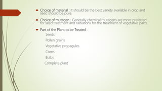  Choice of material : It should be the best variety available in crop and
seed should be pure.
 Choice of mutagen : Generally chemical mutagens are more preferred
for seed treatment and radiations for the treatment of vegetative parts.
 Part of the Plant to be Treated :
Seeds
Pollen grains
Vegetative propagules
Corns
Bulbs
Complete plant
 