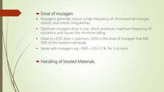  Dose of mutagen
 Mutagens generally induce a high frequency of chromosomal changes
meiotic and mitotic irregularities.
 Optimum mutagen dose is one, which produces maximum frequency of
mutations and causes the minimum killing.
 Close to LD50 dose is optimum. LD50 is the dose of mutagen that kills
50% of the treated individuals.
 Varies with mutagens eg:- EMS – 0.3-1.5 %, for 2-6 hours
 Handling of treated Materials.
 