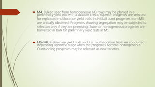  M4. Bulked seed from homogeneous M3 rows may be planted in a
preliminary yield trial with a suitable check; superior progenies are selected
for replicated multilocation yield trials. Individual plant progenies from M3
are critically observed. Progenies showing segregation may be subjected to
selection only if they are promising. Superior homogeneous progenies are
harvested in bulk for preliminary yield tests in M5.
 M5-M8. Preliminary yield trials and / or multi-location trials are conducted
depending upon the stage when the progenies become homogeneous.
Outstanding progenies may be released as new varieties.
 