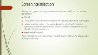 Screening/selection
Mainly two types screening/selection techniques in M2 and subsequent
generation.
 Visual
 most effective and efficient method for identifying mutant phenotypes.
 Visual selection often is the prime basis for selecting for disease
resistance, earliness, plant height, colour changes, adaptation to soil,
climate, growing period etc.
 Mechanical/Physical
Very efficient for seed size, shape, weight, density etc., using appropriate
sieving machinery
 