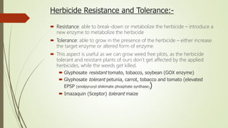Herbicide Resistance and Tolerance:-
 Resistance: able to break-down or metabolize the herbicide – introduce a
new enzyme to metabolize the herbicide
 Tolerance: able to grow in the presence of the herbicide – either increase
the target enzyme or altered form of enzyme.
 This aspect is useful as we can grow weed free plots, as the herbicide
tolerant and resistant plants of ours don’t get affected by the applied
herbicides, while the weeds get killed.
 Glyphosate resistant tomato, tobacco, soybean (GOX enzyme)
 Glyphosate tolerant petunia, carrot, tobacco and tomato (elevated
EPSP (enolpyruvyl shikimate phosphate synthase))
 Imazaquin (Sceptor) tolerant maize
 