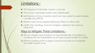 Limitations:-
 The frequency of desirable mutants is very low.
 The process is generally random and unpredictable.
 Identification of micro mutation, which are more useful to a plant breeder
is usually very difficult.
 Mutants have strong negative pleiotropic effects on other traits.
 Health risks: handling, chemical mutagens; radiations, fast neutrons
treatments.
Ways to Mitigate These Limitations:-
 We can mitigate these problems of unpredictable fate of mutations by
increasing the size of population so as to get a good number of mutants.
 Efficient handling of the mutagens should we focused on to eradicate
any health hazards if any.
 