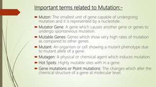 Important terms related to Mutation:-
 Muton: The smallest unit of gene capable of undergoing
mutation and it is represented by a nucleotide.
 Mutator Gene: A gene which causes another gene or genes to
undergo spontaneous mutation.
 Mutable Genes: Genes which show very high rates of mutation
as compared to other genes.
 Mutant: An organism or cell showing a mutant phenotype due
to mutant allele of a gene.
 Mutagen: A physical or chemical agent which induces mutation.
 Hot Spots: Highly mutable sites with in a gene.
 Gene mutations or Point mutations: The changes which alter the
chemical structure of a gene at molecular level.
 