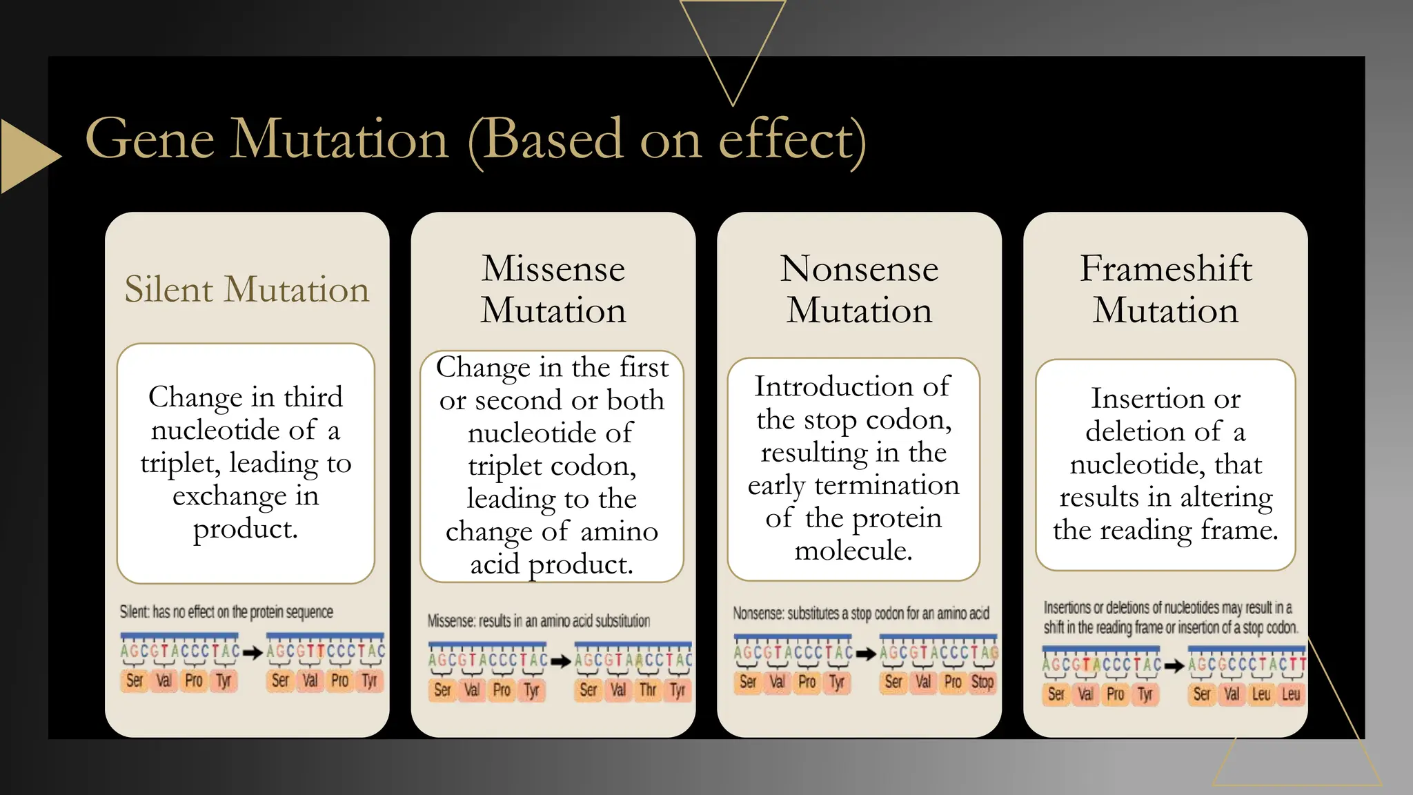 Gene Mutation its types and importance of mutation | PPTX